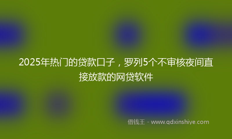 2025年热门的贷款口子，罗列5个不审核夜间直接放款的网贷软件