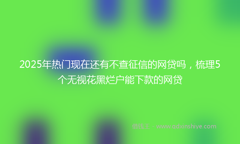 2025年热门现在还有不查征信的网贷吗，梳理5个无视花黑烂户能下款的网贷