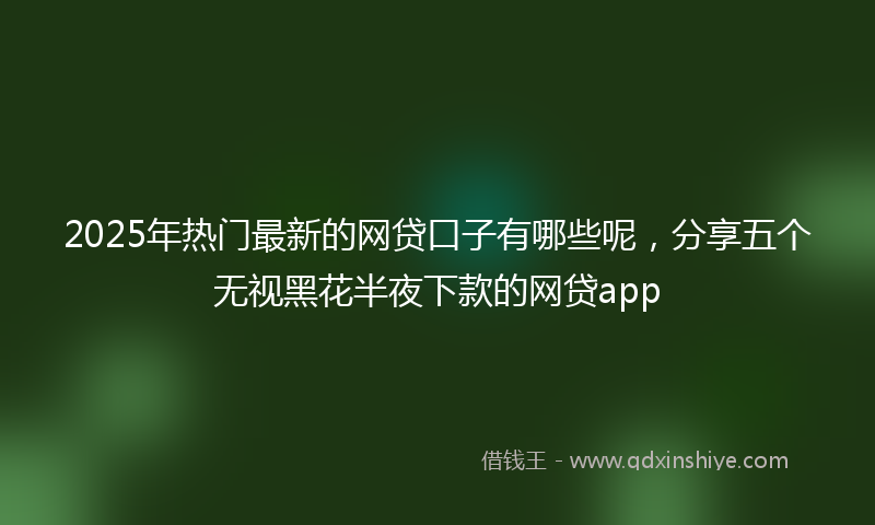 2025年热门最新的网贷口子有哪些呢，分享五个无视黑花半夜下款的网贷app