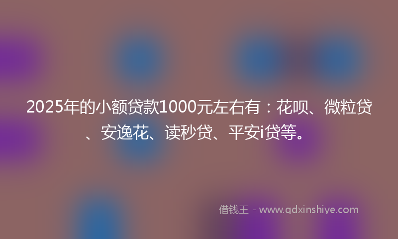 2025年的小额贷款1000元左右有：花呗、微粒贷、安逸花、读秒贷、平安i贷等。