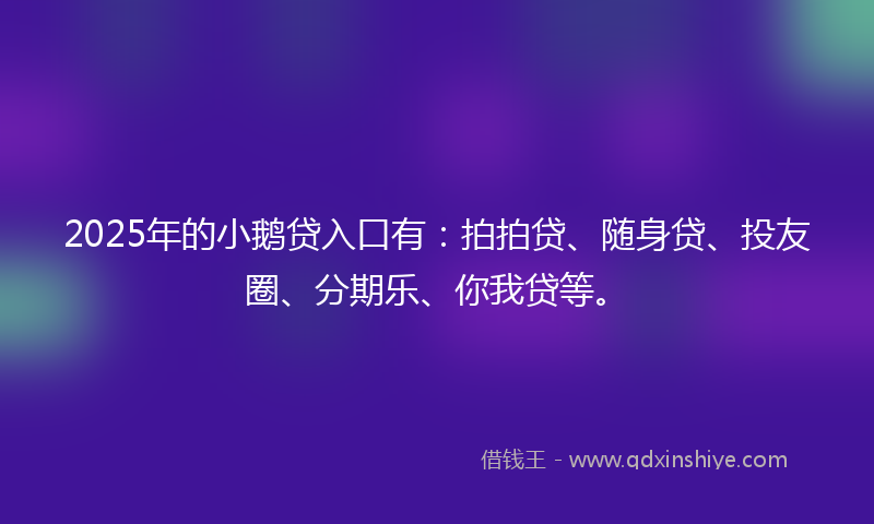 2025年的小鹅贷入口有：拍拍贷、随身贷、投友圈、分期乐、你我贷等。