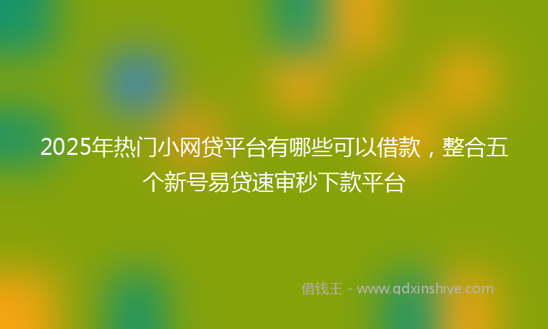 2025年热门小网贷平台有哪些可以借款，整合五个新号易贷速审秒下款平台