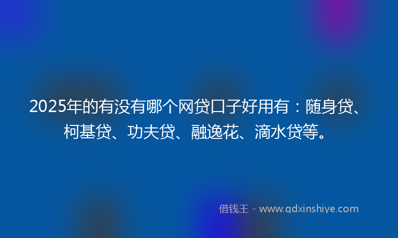 2025年的有没有哪个网贷口子好用有：随身贷、柯基贷、功夫贷、融逸花、滴水贷等。