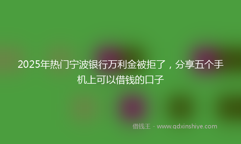 2025年热门宁波银行万利金被拒了，分享五个手机上可以借钱的口子