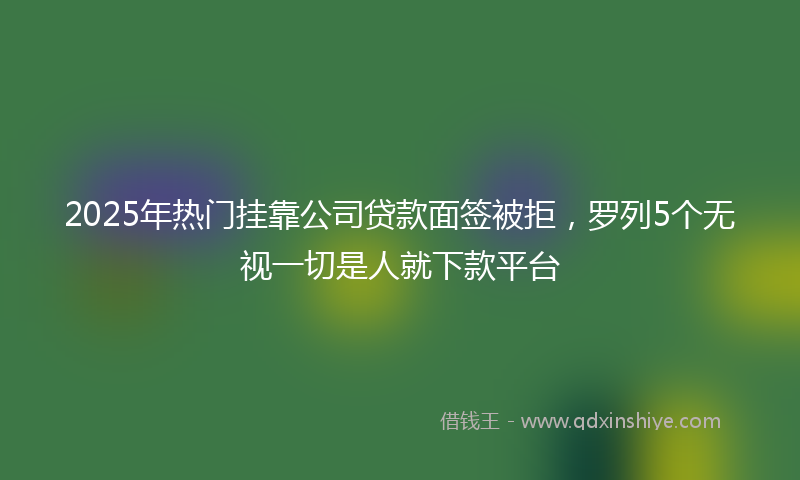 2025年热门挂靠公司贷款面签被拒，罗列5个无视一切是人就下款平台