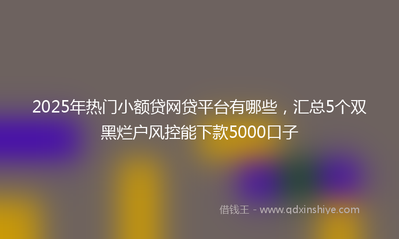 2025年热门小额贷网贷平台有哪些，汇总5个双黑烂户风控能下款5000口子