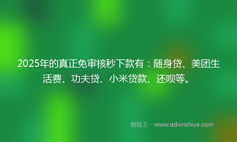 2025年的真正免审核秒下款有：随身贷、美团生活费、功夫贷、小米贷款、还呗等。