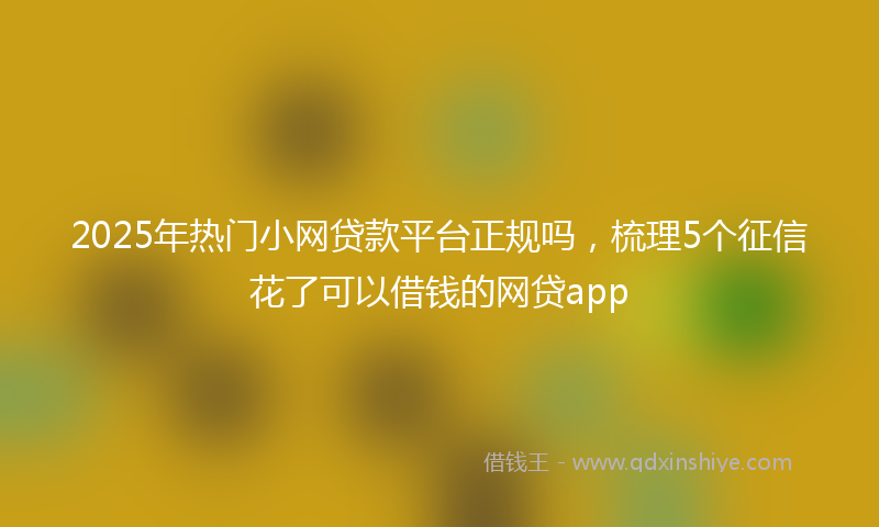 2025年热门小网贷款平台正规吗，梳理5个征信花了可以借钱的网贷app