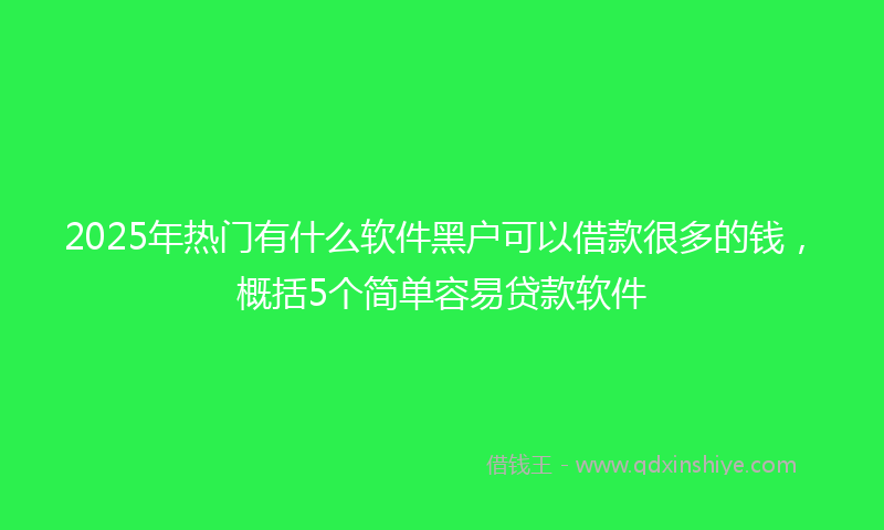 2025年热门有什么软件黑户可以借款很多的钱，概括5个简单容易贷款软件