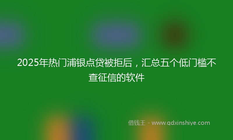 2025年热门浦银点贷被拒后，汇总五个低门槛不查征信的软件
