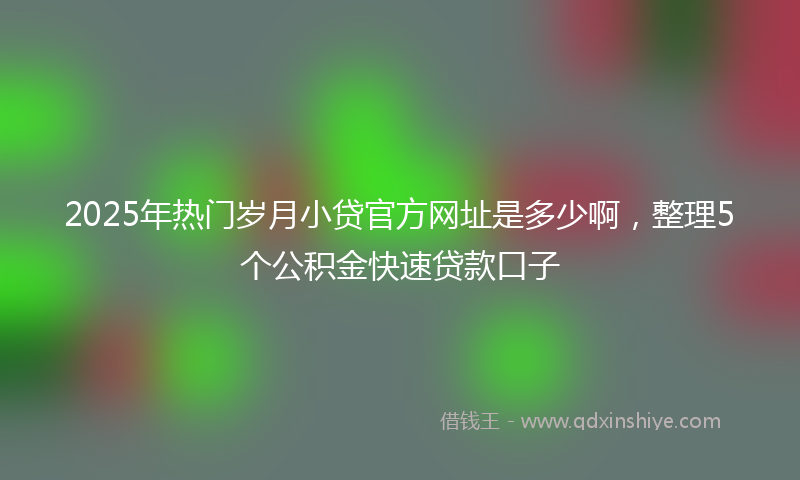 2025年热门岁月小贷官方网址是多少啊，整理5个公积金快速贷款口子