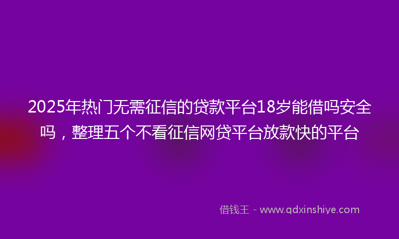 2025年热门无需征信的贷款平台18岁能借吗安全吗，整理五个不看征信网贷平台放款快的平台