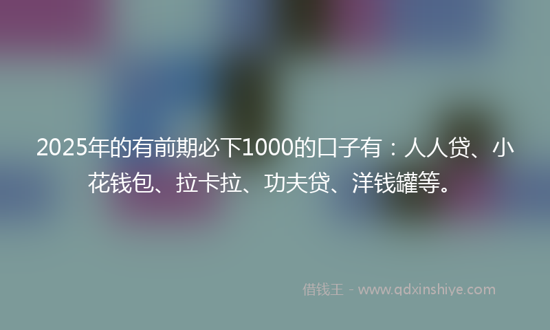 2025年的有前期必下1000的口子有：人人贷、小花钱包、拉卡拉、功夫贷、洋钱罐等。