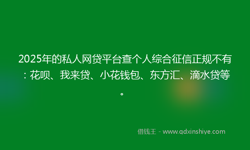 2025年的私人网贷平台查个人综合征信正规不有：花呗、我来贷、小花钱包、东方汇、滴水贷等。