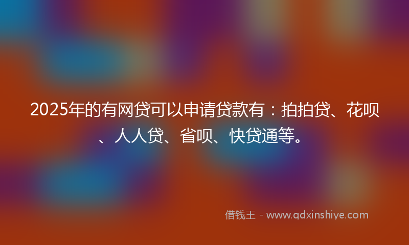 2025年的有网贷可以申请贷款有：拍拍贷、花呗、人人贷、省呗、快贷通等。