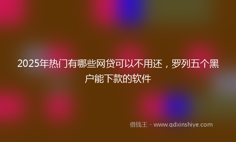 2025年热门有哪些网贷可以不用还，罗列五个黑户能下款的软件