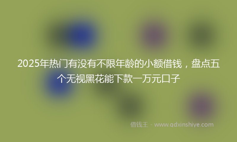 2025年热门有没有不限年龄的小额借钱，盘点五个无视黑花能下款一万元口子