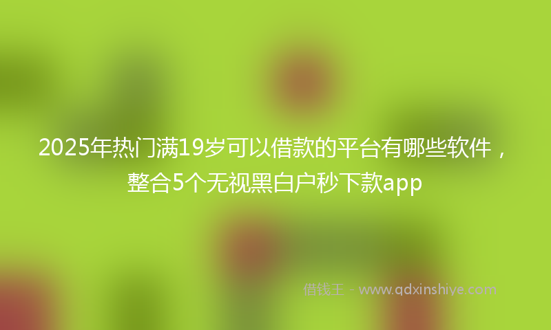 2025年热门满19岁可以借款的平台有哪些软件，整合5个无视黑白户秒下款app