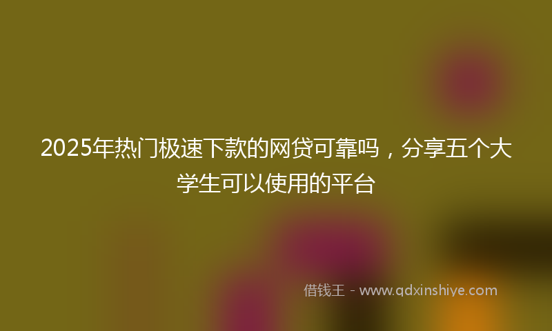 2025年热门极速下款的网贷可靠吗，分享五个大学生可以使用的平台
