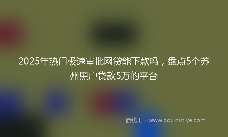 2025年热门极速审批网贷能下款吗，盘点5个苏州黑户贷款5万的平台