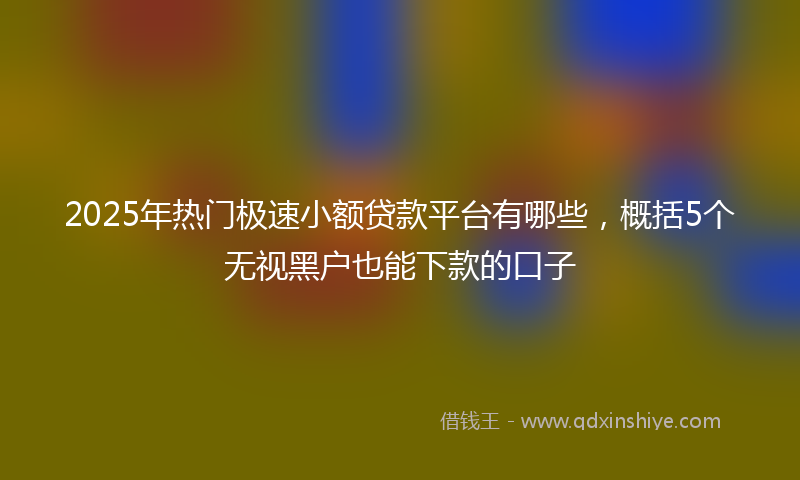 2025年热门极速小额贷款平台有哪些，概括5个无视黑户也能下款的口子