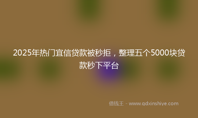 2025年热门宜信贷款被秒拒，整理五个5000块贷款秒下平台
