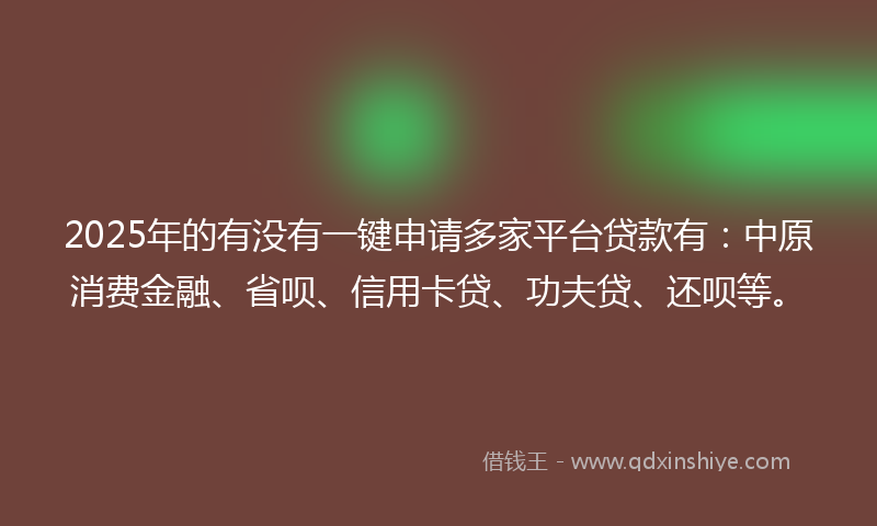 2025年的有没有一键申请多家平台贷款有：中原消费金融、省呗、信用卡贷、功夫贷、还呗等。