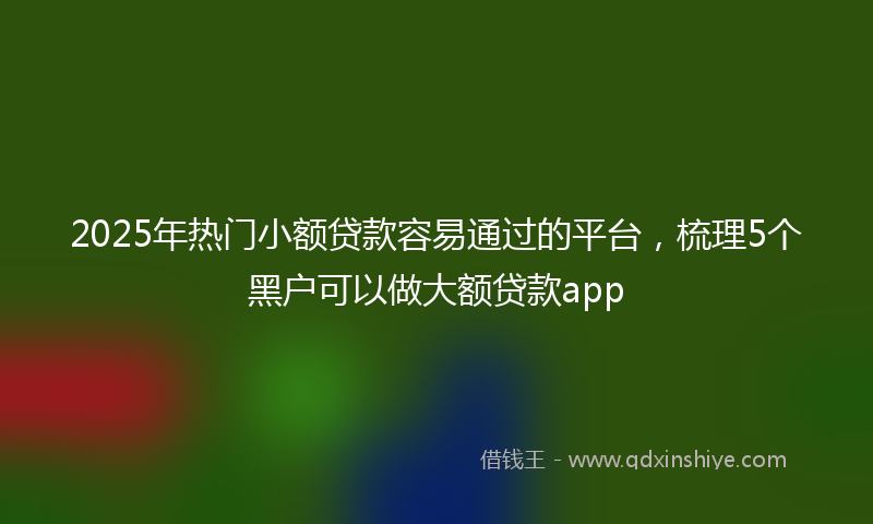 2025年热门小额贷款容易通过的平台，梳理5个黑户可以做大额贷款app
