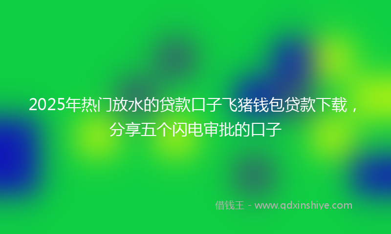 2025年热门放水的贷款口子飞猪钱包贷款下载，分享五个闪电审批的口子