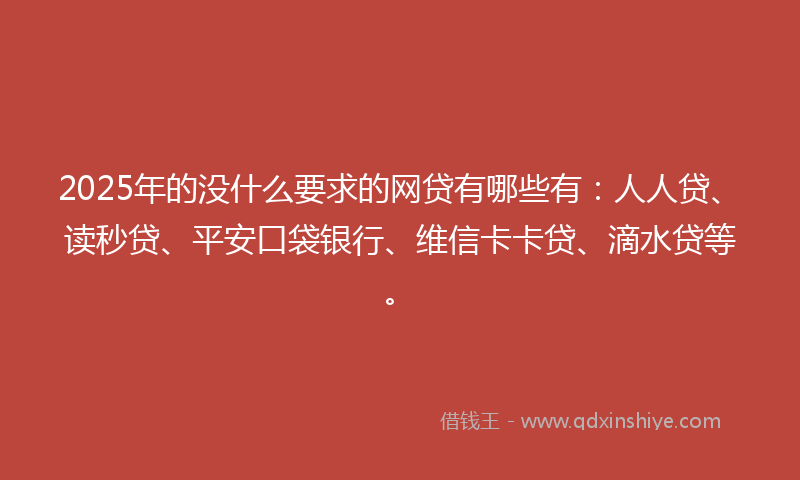 2025年的没什么要求的网贷有哪些有：人人贷、读秒贷、平安口袋银行、维信卡卡贷、滴水贷等。