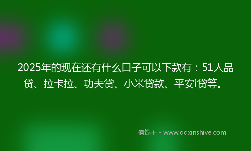 2025年的现在还有什么口子可以下款有：51人品贷、拉卡拉、功夫贷、小米贷款、平安i贷等。