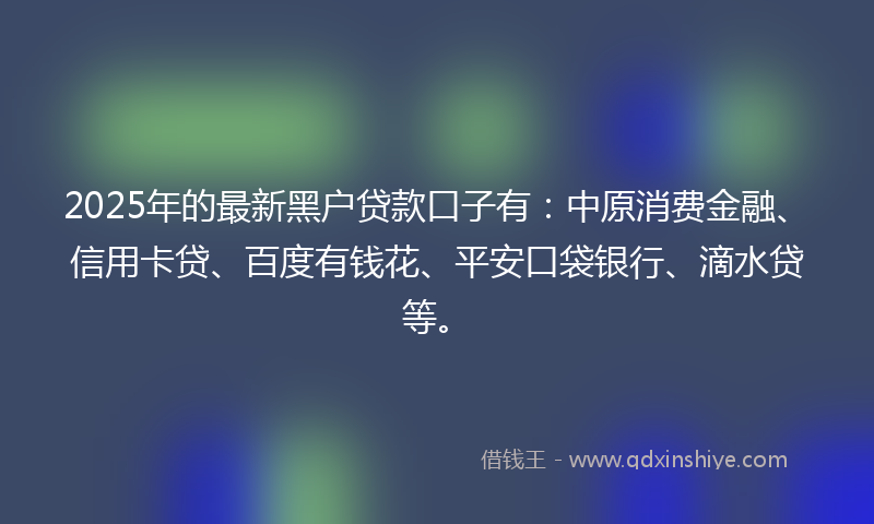 2025年的最新黑户贷款口子有：中原消费金融、信用卡贷、百度有钱花、平安口袋银行、滴水贷等。