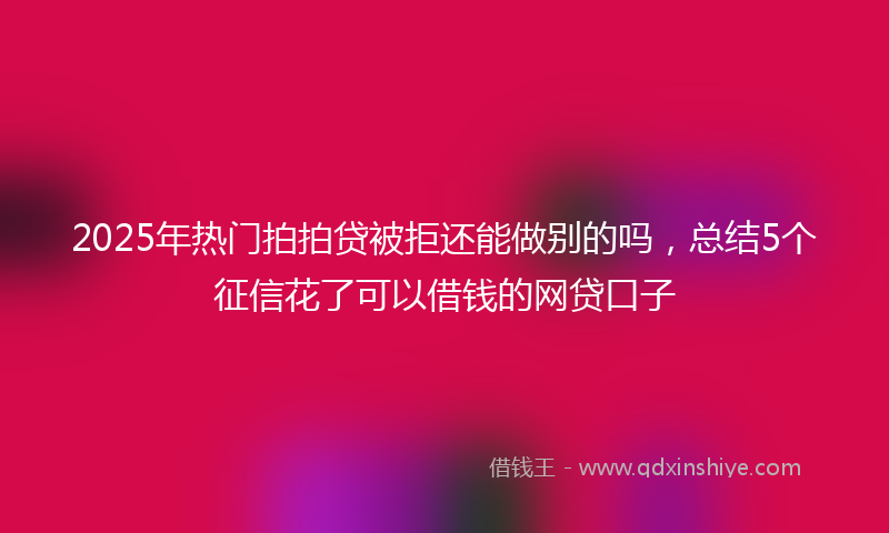 2025年热门拍拍贷被拒还能做别的吗，总结5个征信花了可以借钱的网贷口子