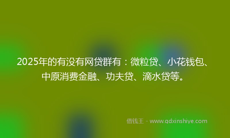 2025年的有没有网贷群有：微粒贷、小花钱包、中原消费金融、功夫贷、滴水贷等。
