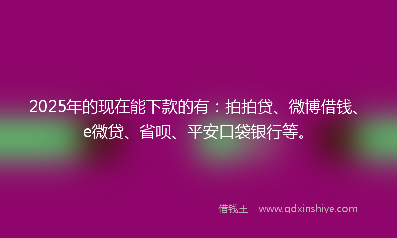 2025年的现在能下款的有：拍拍贷、微博借钱、e微贷、省呗、平安口袋银行等。