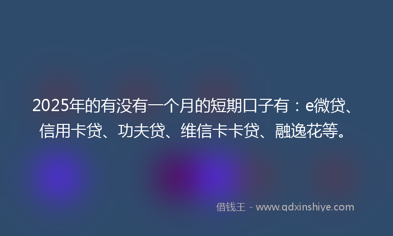 2025年的有没有一个月的短期口子有：e微贷、信用卡贷、功夫贷、维信卡卡贷、融逸花等。