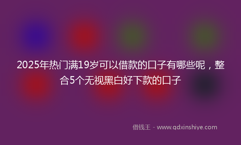 2025年热门满19岁可以借款的口子有哪些呢，整合5个无视黑白好下款的口子