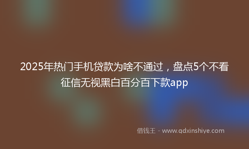2025年热门手机贷款为啥不通过，盘点5个不看征信无视黑白百分百下款app