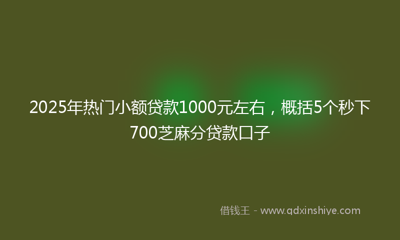 2025年热门小额贷款1000元左右，概括5个秒下700芝麻分贷款口子