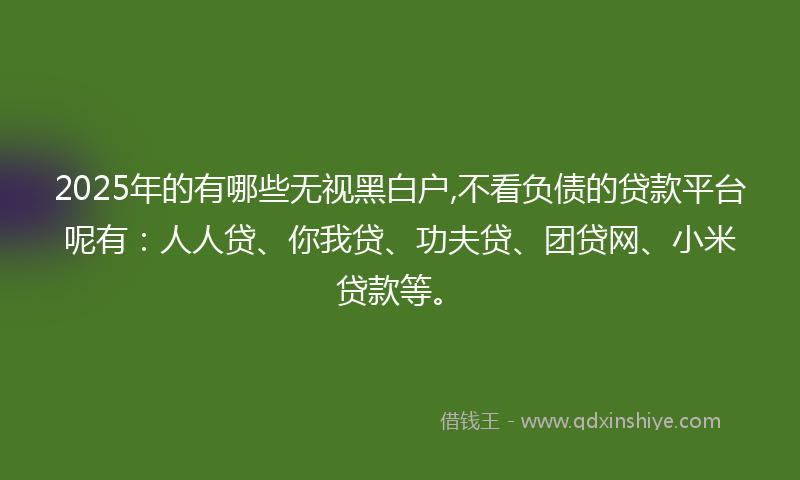 2025年的有哪些无视黑白户,不看负债的贷款平台呢有：人人贷、你我贷、功夫贷、团贷网、小米贷款等。