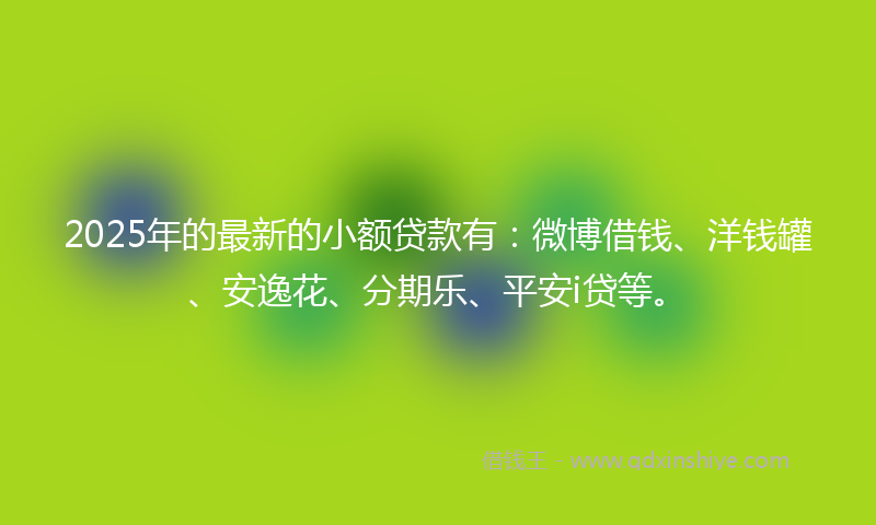 2025年的最新的小额贷款有：微博借钱、洋钱罐、安逸花、分期乐、平安i贷等。