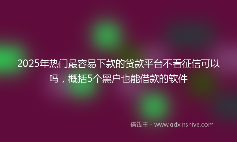 2025年热门最容易下款的贷款平台不看征信可以吗，概括5个黑户也能借款的软件