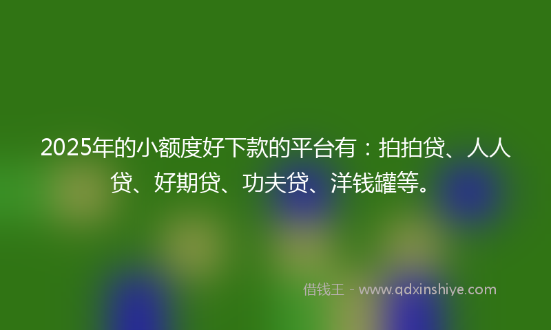 2025年的小额度好下款的平台有：拍拍贷、人人贷、好期贷、功夫贷、洋钱罐等。
