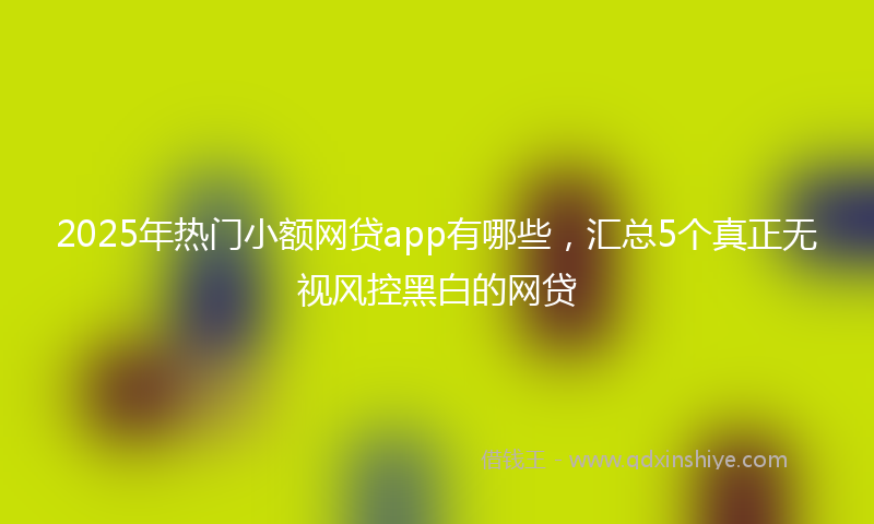2025年热门小额网贷app有哪些，汇总5个真正无视风控黑白的网贷
