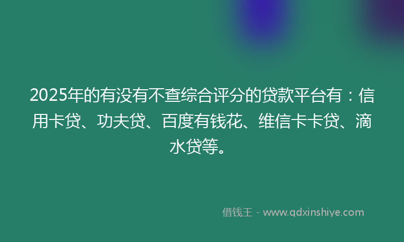 2025年的有没有不查综合评分的贷款平台有：信用卡贷、功夫贷、百度有钱花、维信卡卡贷、滴水贷等。
