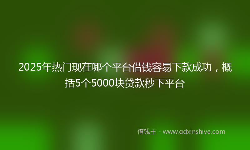 2025年热门现在哪个平台借钱容易下款成功，概括5个5000块贷款秒下平台