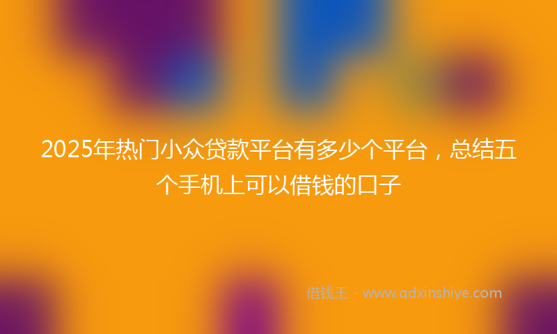 2025年热门小众贷款平台有多少个平台，总结五个手机上可以借钱的口子