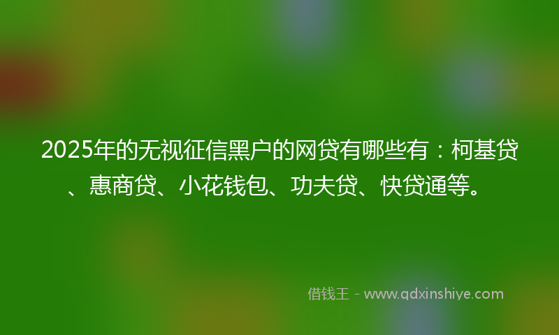 2025年的无视征信黑户的网贷有哪些有：柯基贷、惠商贷、小花钱包、功夫贷、快贷通等。