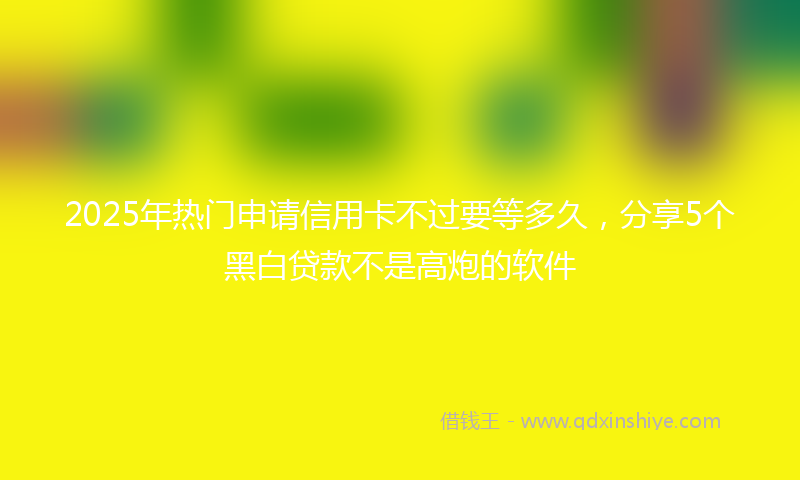 2025年热门申请信用卡不过要等多久，分享5个黑白贷款不是高炮的软件