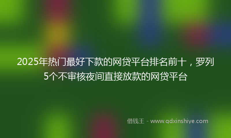 2025年热门最好下款的网贷平台排名前十，罗列5个不审核夜间直接放款的网贷平台